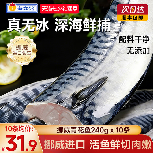 海文铭挪威青花鱼无冰高品质超大