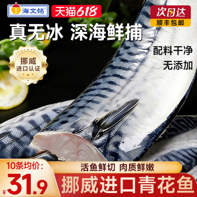 海文铭挪威青花鱼无冰高品质超大