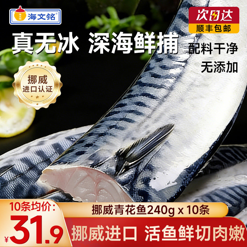 海文铭挪威青花鱼进口超大整条图片