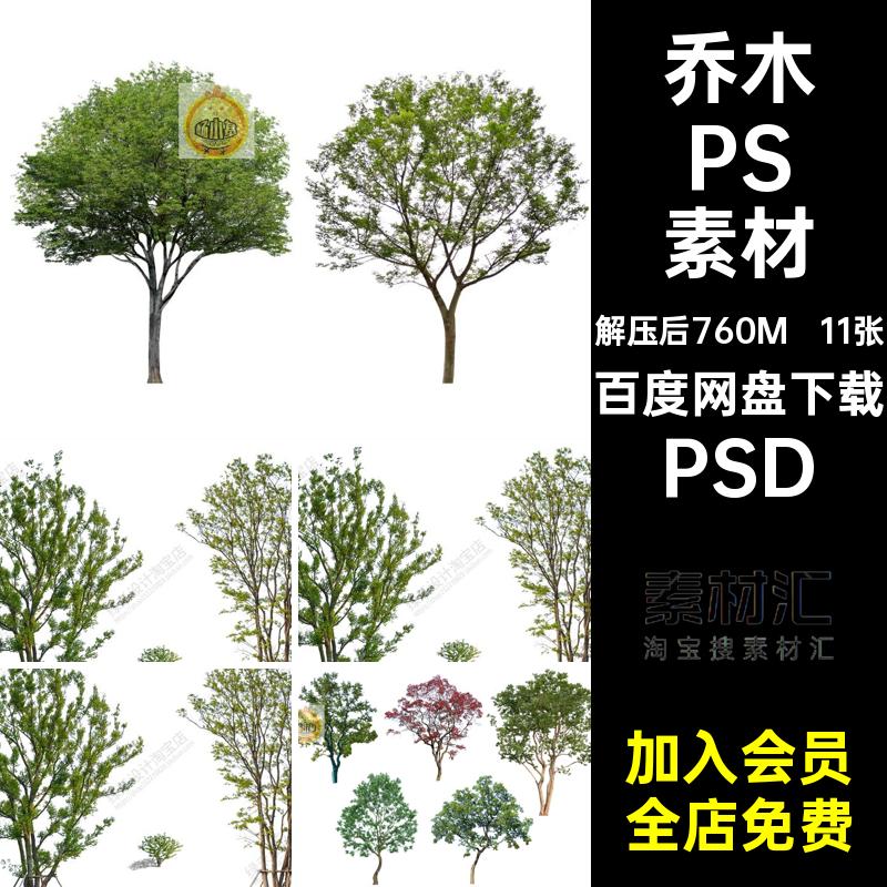乌柏朴树PSD素材PSD丛生景观立面植物乌桕树园林11张后期乔木psd