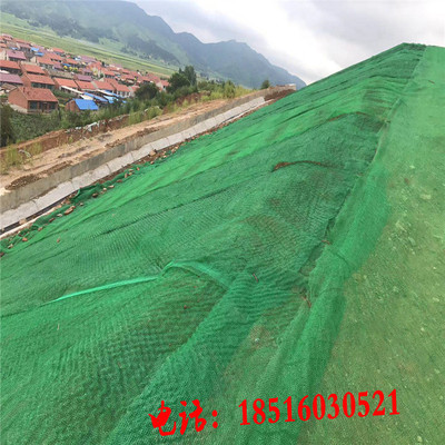 工地施工防尘网公路铁路堤坝河道护坡种植草籽保护绿色三维植被网