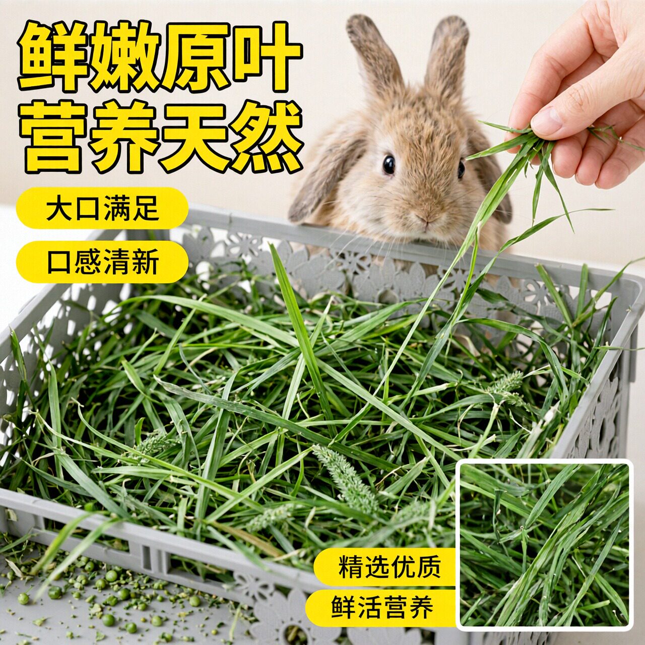 天然提摩西草干草高纤低蛋白