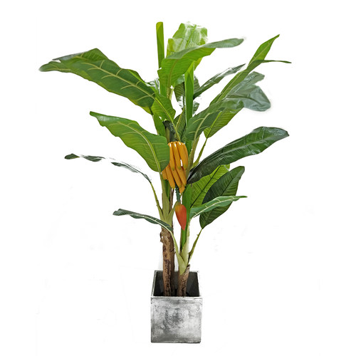 绿霸仿真景观树盆栽热带植物