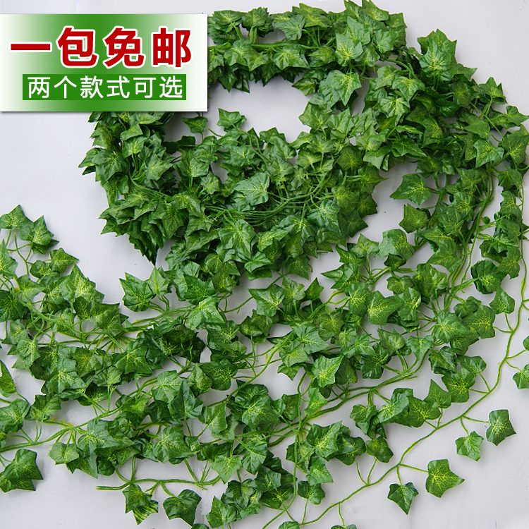 彩印装饰藤条爬山虎叶仿真叶子葡萄叶绿萝海棠葡萄假藤条装饰绿叶