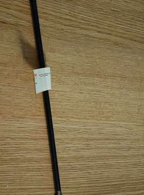 赛默飞阳离子色谱柱 cs12a，2×250mm，货号0460