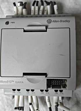 AB罗克韦尔电源模块micro810 2080-LC10-1