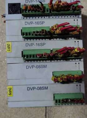台达PLc带模块，型号DVP14SS11R2（1个