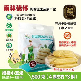 云南版纳拇指小玉米白糯玉米手指玉米宝宝辅食非转基因 袋装2斤