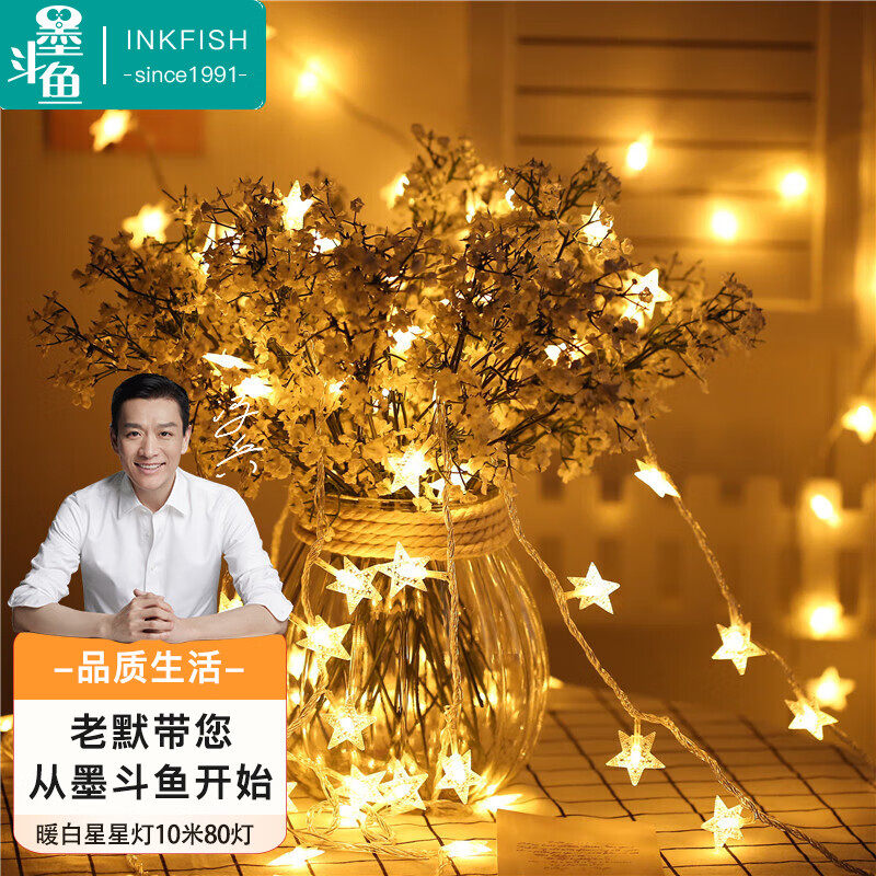 墨斗鱼LED灯小彩灯 户外防水挂树挂墙门厅走廊室外庭院花园挂灯16怎么看?
