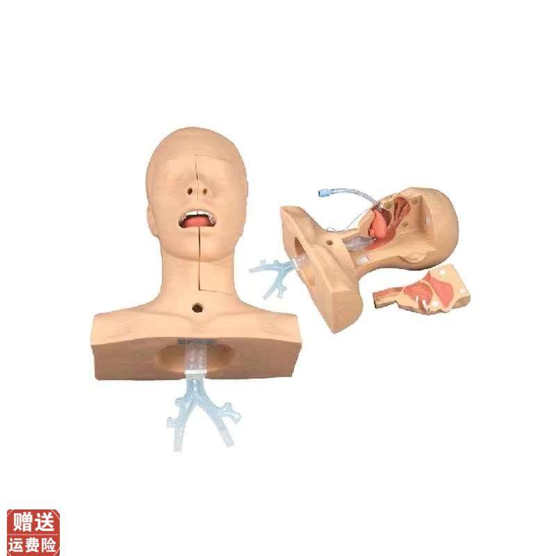 高级吸痰练d习模型鼻腔口腔插管吸引训练模型医学用操作教学模型,文具电教/文化用品/商务用品,模拟人,淘宝优惠券,粉丝福利购,淘宝优惠卷