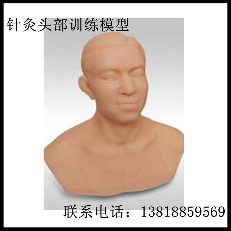针灸头部训练模型 EJT/1000TS