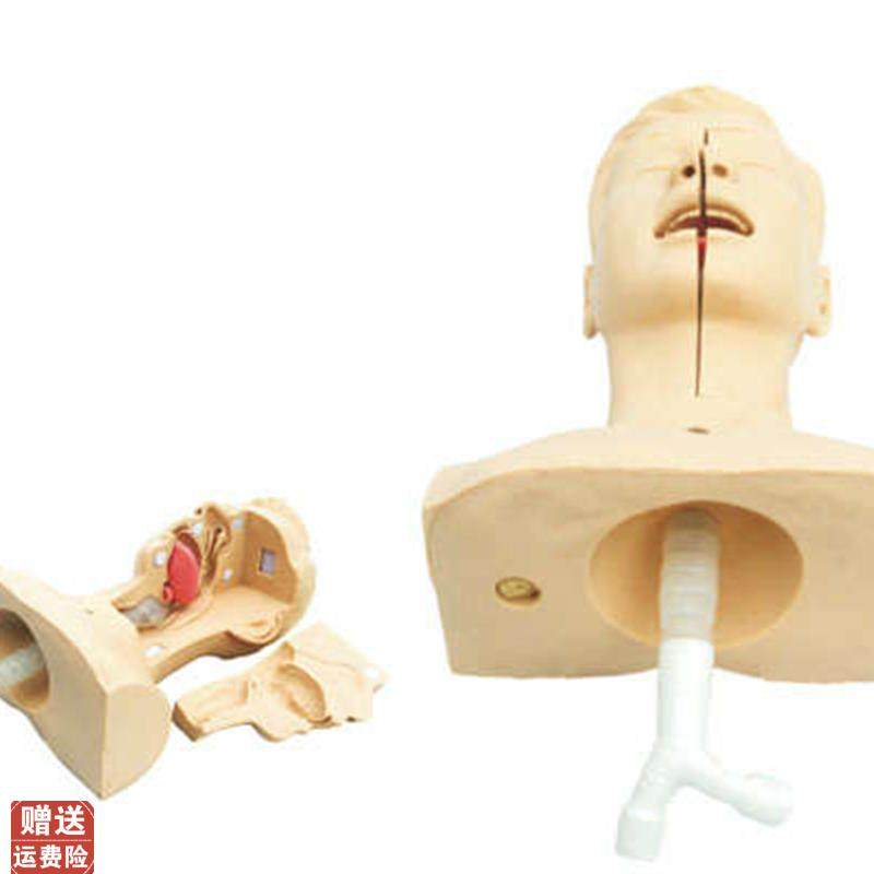 高级吸痰练习模型鼻腔口腔插管吸引训I练模型医学用操作教学模型,文具电教/文化用品/商务用品,模拟人,淘宝优惠券,粉丝福利购,淘宝优惠卷