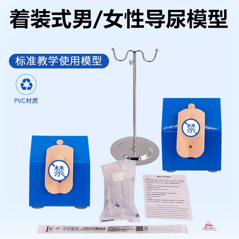 高级着装式男女性导尿模型 导尿示教模型可穿T戴配支架28E
