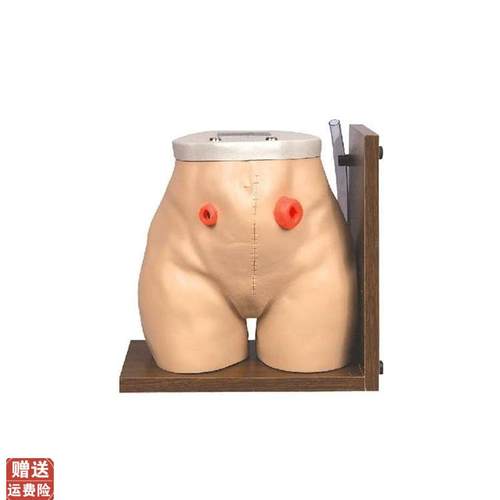 瘘管造口术护理h模型结肠回肠造瘘口冲洗教学家政培训训练假人模