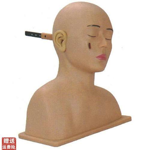 高级耳诊g断模型耳部检查模型