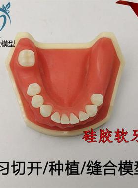 牙科口腔种植练习模型学生练习切开缝合种植M模型下颌种植2029下