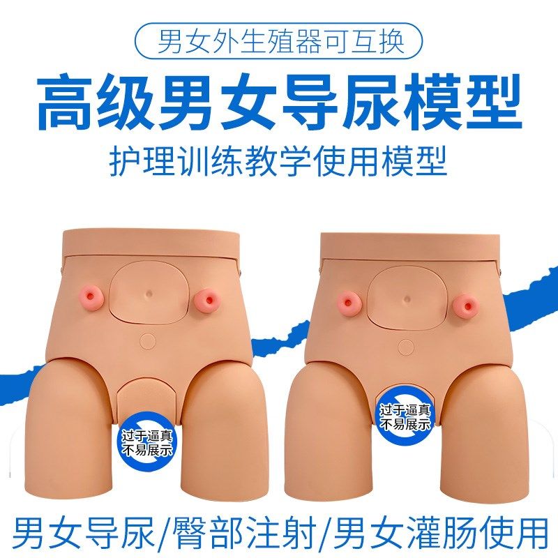 男女性导尿模型 插尿管模型 医学导尿H技能操作护理模特 灌肠模型