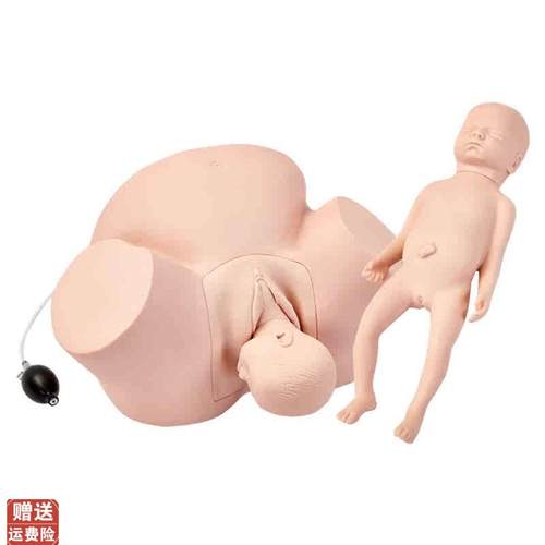 高级难产示教模型r分娩难产示教模型分娩演示模型