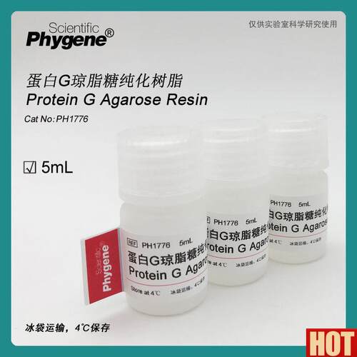 白G琼脂糖纯化树脂 Protein GV Agarose Resin [PH1776 ]