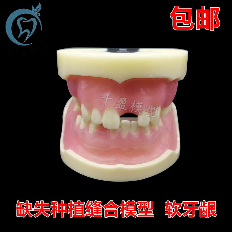 牙科 缺失种植模型 缝合练习牙y模 仿骨质牙齿上颌窦提升术m2002