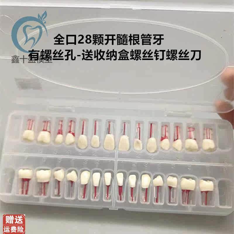 带髓腔根管牙粒树脂牙开髓牙粒y全口28颗牙医考试练习备牙模型牙,文具电教/文化用品/商务用品,教学仪器/实验器材,淘宝优惠券,粉丝福利购,淘宝优惠卷