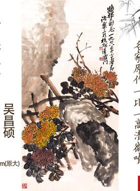 品晚清吴昌硕墙根菊花水墨画竖幅图植物N花卉客厅办公室挂画