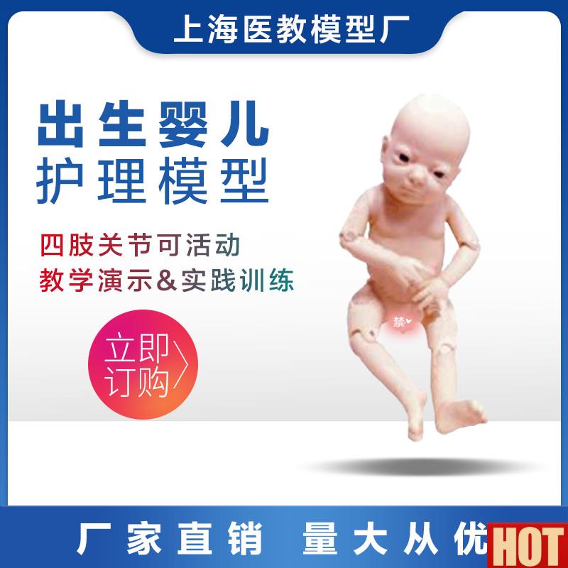 端关节螺丝出生婴儿模型b 四肢可活动