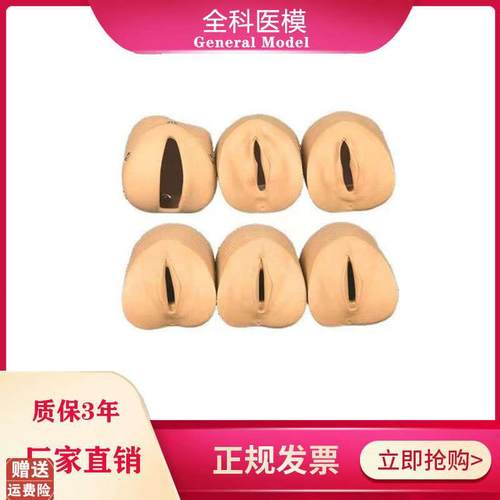 女性分娩生产h宫口模型产前宫颈变化与产道关系模型