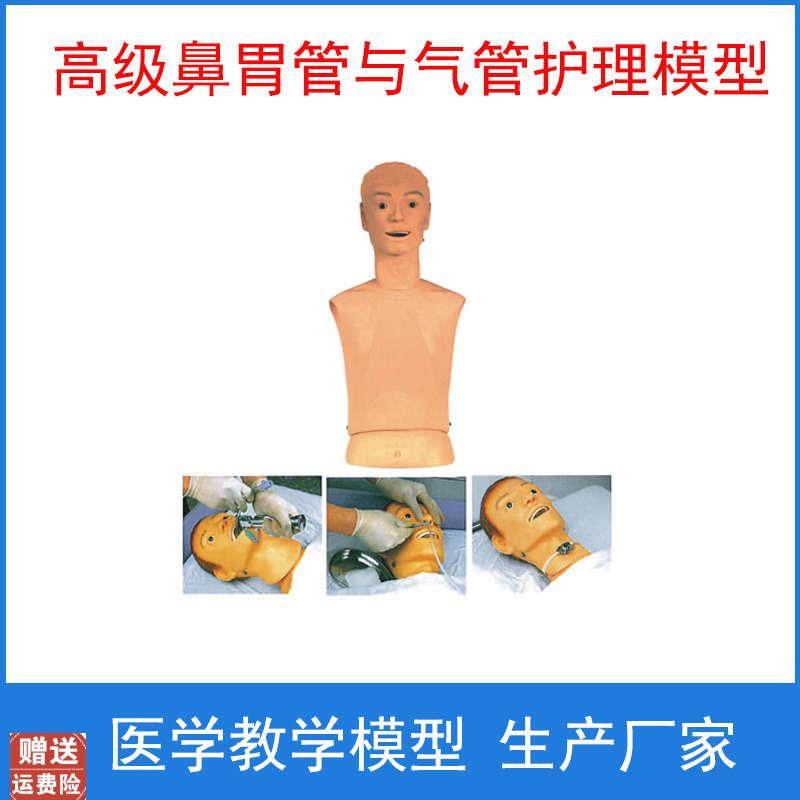 高级鼻胃管f与气管护理模型口鼻管插管训练模型,文具电教/文化用品/商务用品,模拟人,淘宝优惠券,粉丝福利购,淘宝优惠卷
