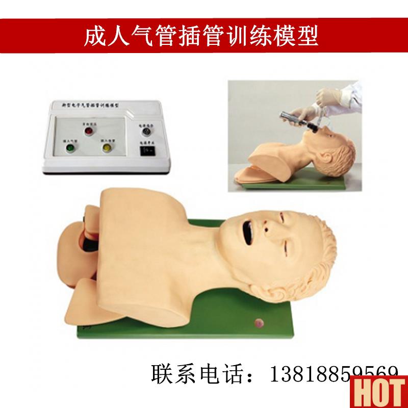 销成人气管插管训练模型医p学用插管技能教学模特电子人体上半身
