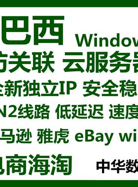 巴西云服务器v独立IP主机电脑mstsc远程桌面外贸电商海淘Wind静态