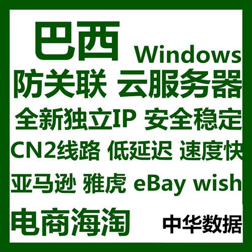 巴西云服务器v独立IP主机电脑mstsc远程桌面外贸电商海淘Wind静态