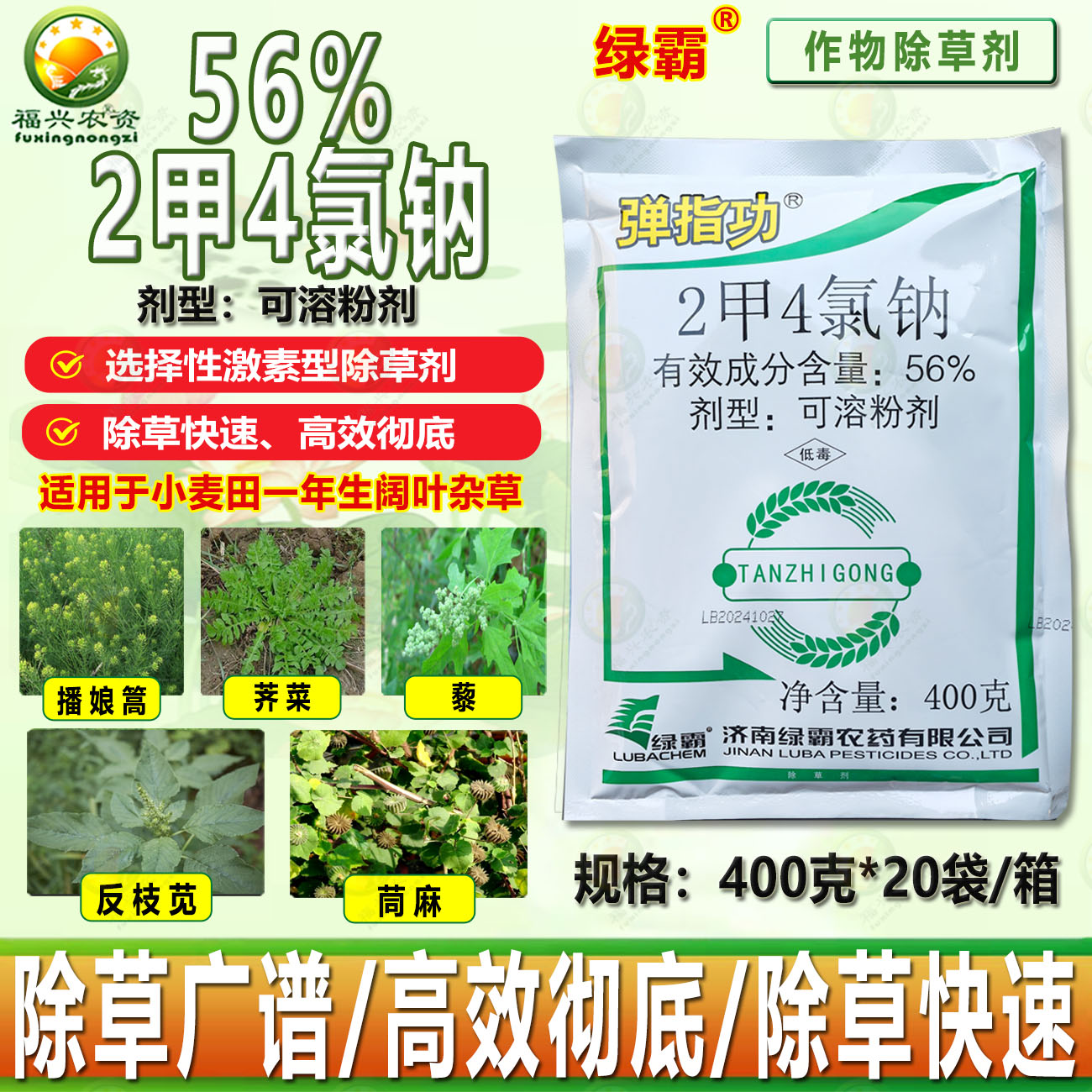 绿霸2甲4氯钠小麦田专用除草剂