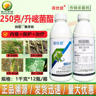 邹平蓓优健25%嘧菌酯土壤大姜炭疽病芦笋茎枯病 白粉病杀菌剂农药
