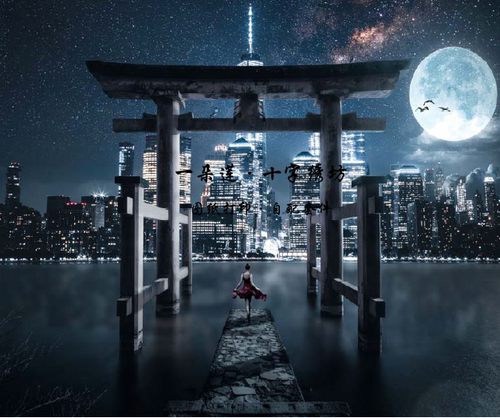 图纸打印 法国进口正品DMC十字绣自配套件HAE A Gate Of New Hope