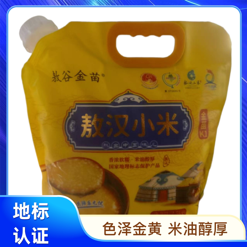 敖谷金苗敖汉小米金苗K1
