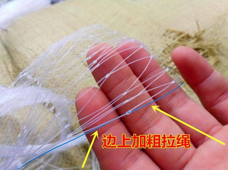 池塘綠化農用稻谷場防鳥網養雞圍欄網3厘米孔養牛蛙園藝加厚糧庫在類目 鮮花速遞/花卉仿真/綠植園藝, 園藝用品, 其它園藝用品中 - 來自Buy2taobao.com提供專業的淘寶代購服務