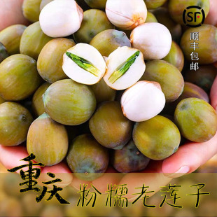 2026年重庆甜嫩莲子老莲米莲蓬粉糯香甜莲子米包邮