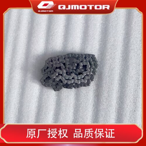 钱江原厂正时链条时规链条