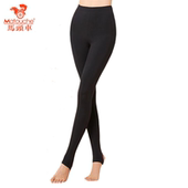 女薄款 保暖裤 高腰弹力脚蹬裤 秋裤 瑜伽运动裤 马头车光面踩脚打底裤