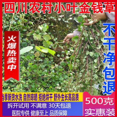 新货精选正宗小叶金钱草茶干中草药中药材马蹄金500克