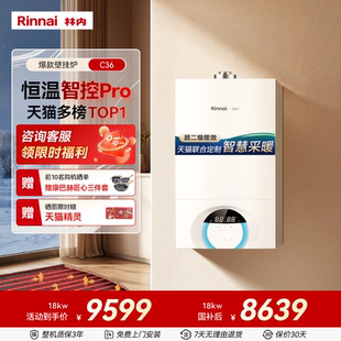 林内壁挂炉天然气家用锅炉地暖暖气采暖炉两用C36