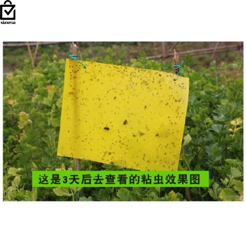 黄蓝诱虫板农用粘虫板贴板苍蝇纸盆栽黄色各种灭蚊菜虫多肉双面在类目 鲜花速递/花卉仿真/绿植园艺, 园艺用品, 其它园艺用品中 - 来自Buy2taobao.com提供专业的淘宝代购服务