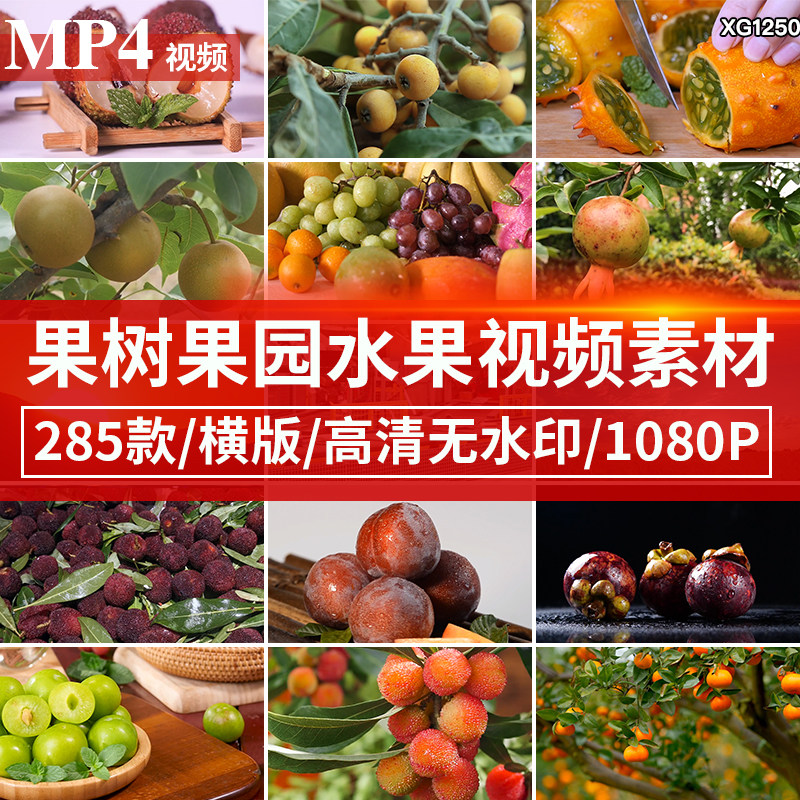 水果夏季果树农产品果树园采摘成熟果实特写自媒体短视频剪辑素材