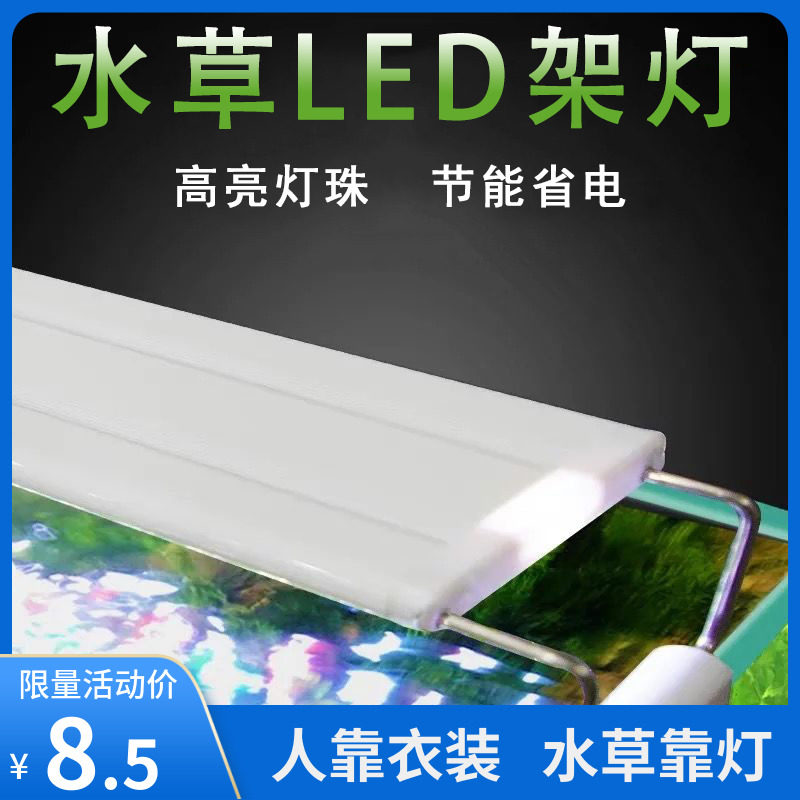 水草夹灯素材模板 水草夹灯图片下载 小麦优选