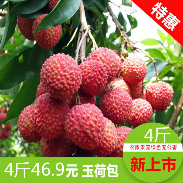 非四川瀘州合江荔枝新鮮包郵現摘現發紅繡球帶綠2斤