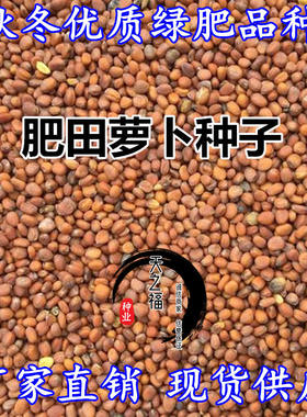 肥田萝卜种子毛苕紫花苕油菜紫云英红白三叶苜蓿种孑秋冬绿肥种籽