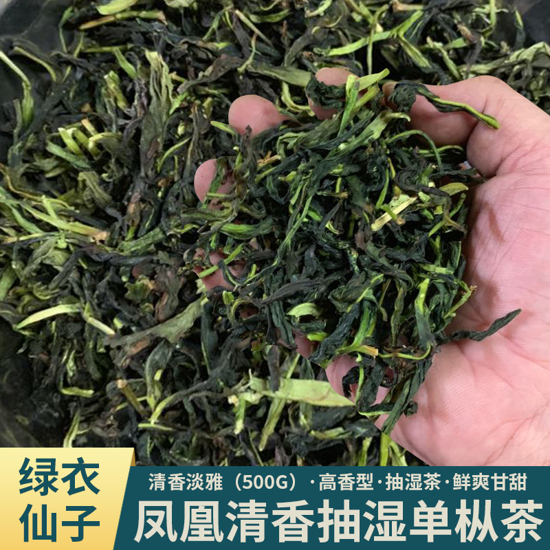 新茶抽湿清香型乌龙凤凰单丛茶