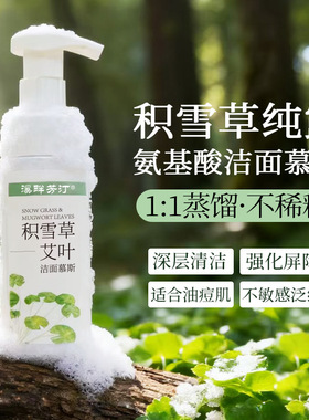 积雪草艾叶敏肌保湿控油洁面慕斯
