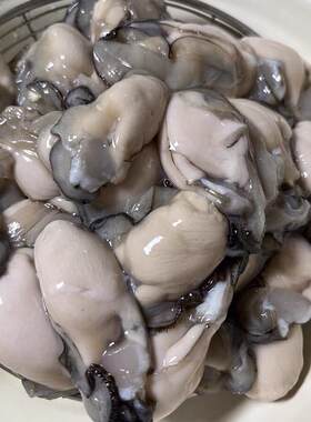 高品质新鲜生蚝肉6斤鲜活现剥去壳海鲜即食原浆海蛎子牡蛎肉包邮